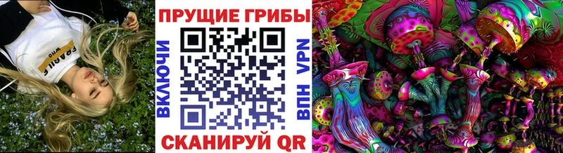 Галлюциногенные грибы Cubensis  цена наркотик  Рассказово 